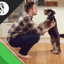 Pets at Home: 6 Ideas to Make Your Home Pet-Friendly