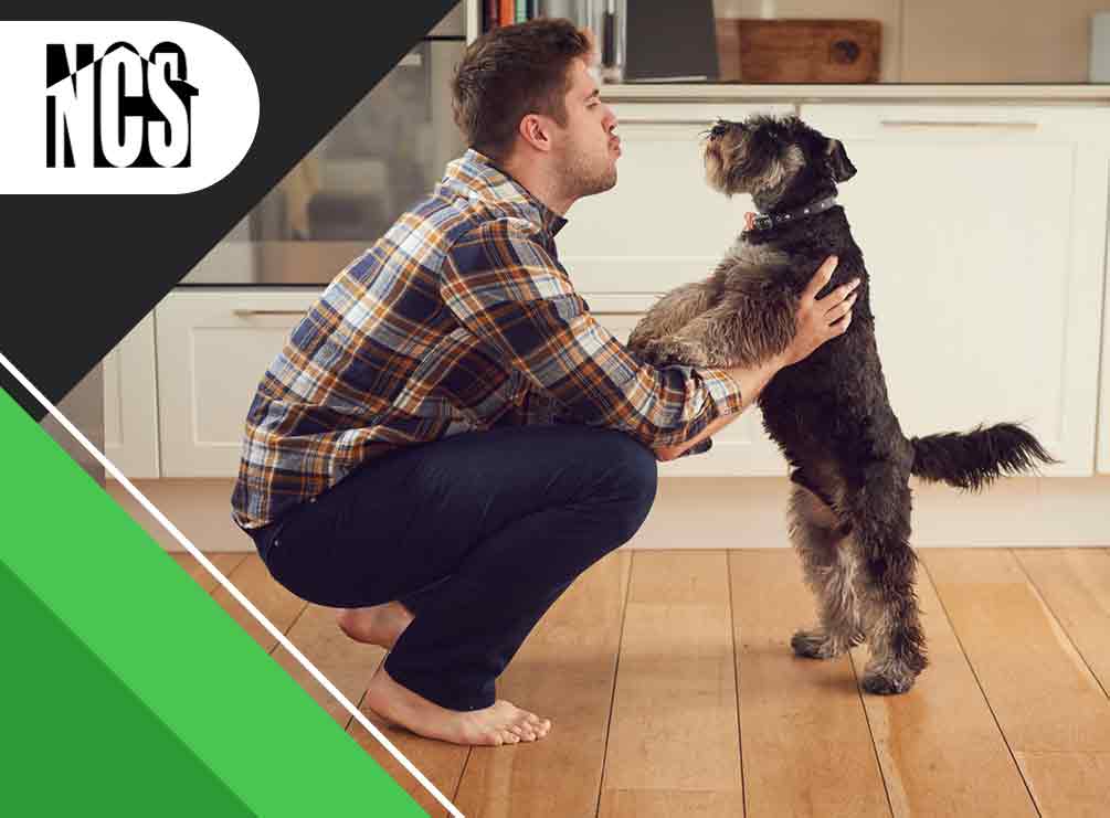 Pets at Home: 6 Ideas to Make Your Home Pet-Friendly